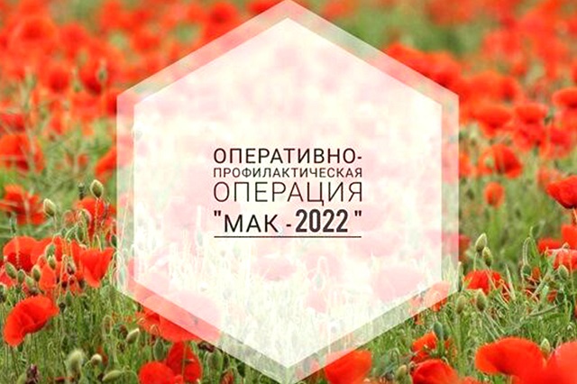 Завершилась операция «Мак - 2023»