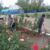 15 сентября в Новопетровской прошла экологическая акция "Генеральная уборка страны"