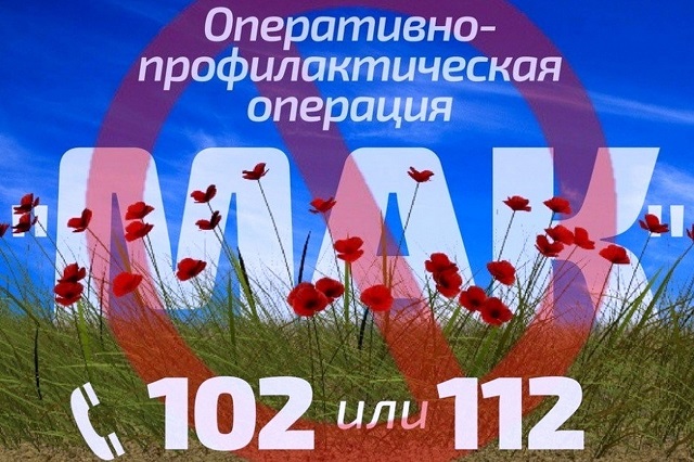 GSUxgoqGtqE