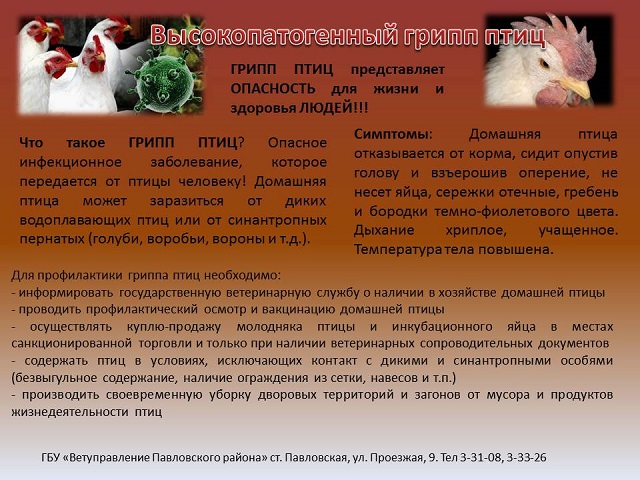 foto 2024 01 31 15 00