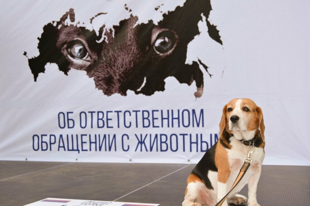 foto 2024 03 13 09 36